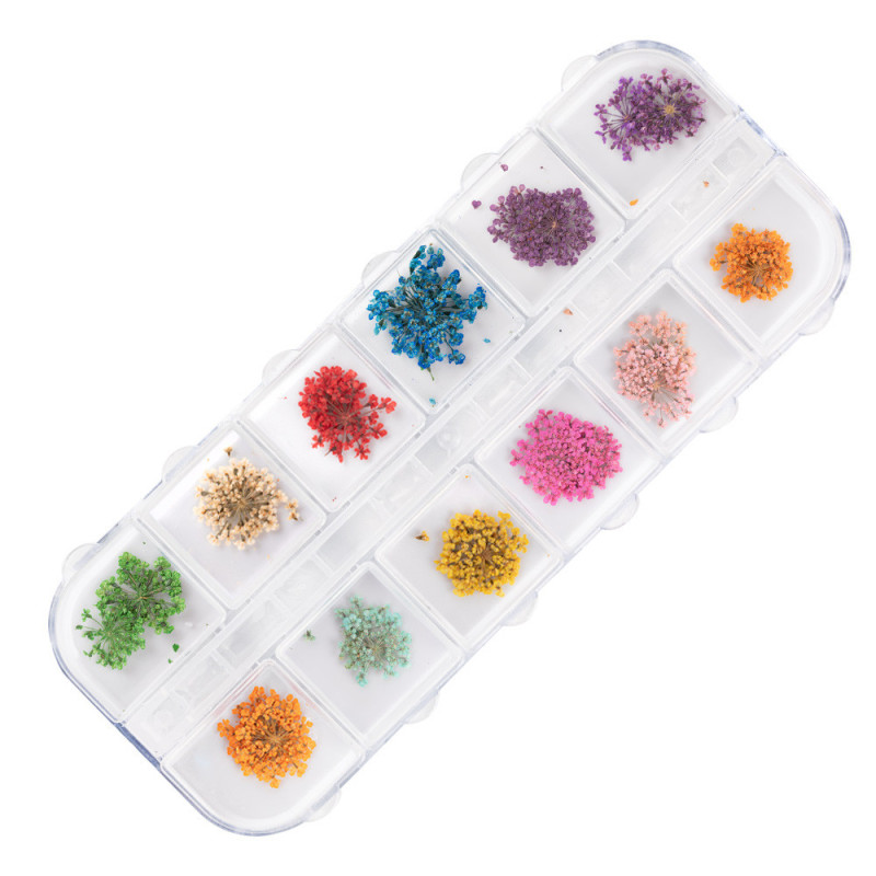 Dried Flowers for Nail Decoration – Molly Nails Type A – 24 pcs