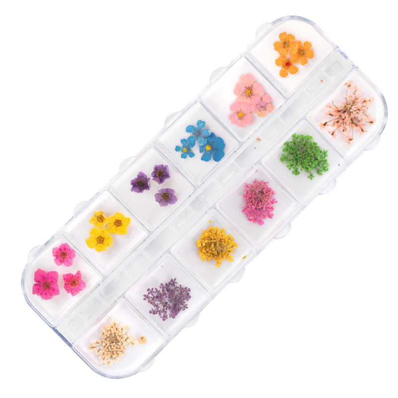 Kuivakukat kynsikoristeluun – Molly Nails Type B – 36 pcs