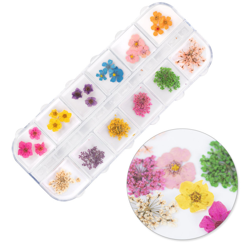 Kuivakukat kynsikoristeluun – Molly Nails Type B – 36 pcs