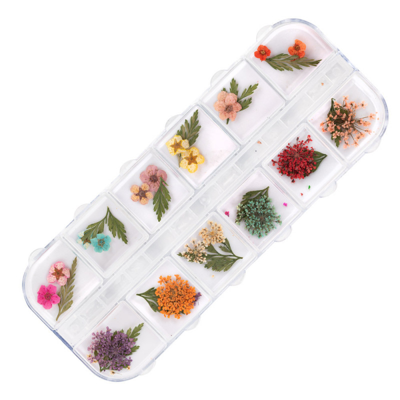 Dried Flowers for Nail Decoration – Molly Nails Type E – 36 pcs