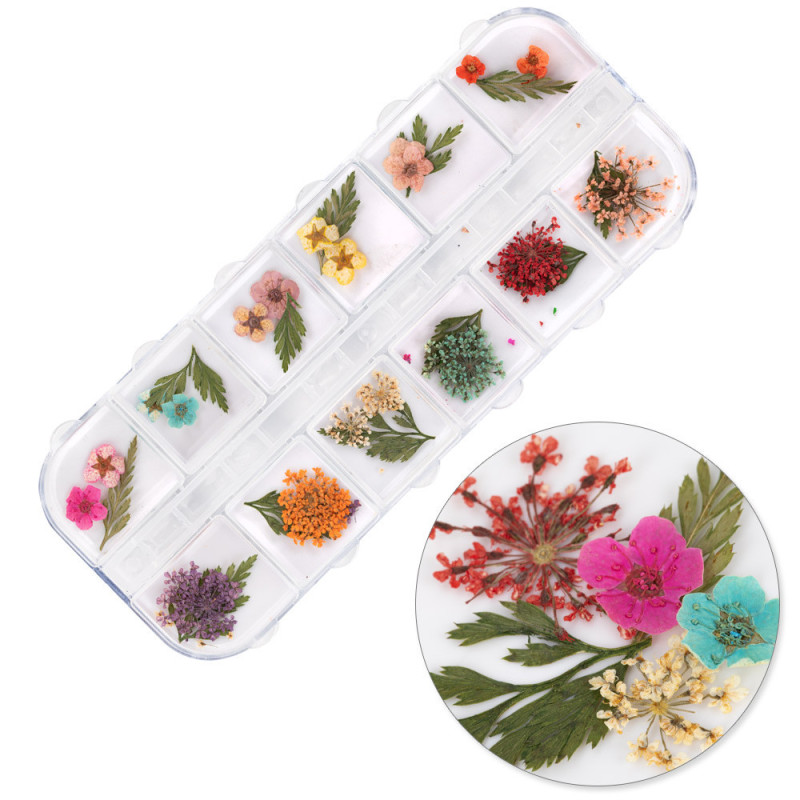 Сухоцветы для декора ногтей – Molly Nails Type E – 36 pcs