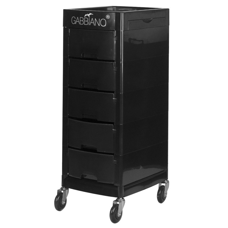 Gabbiano hairdressing assistant ft65-a black