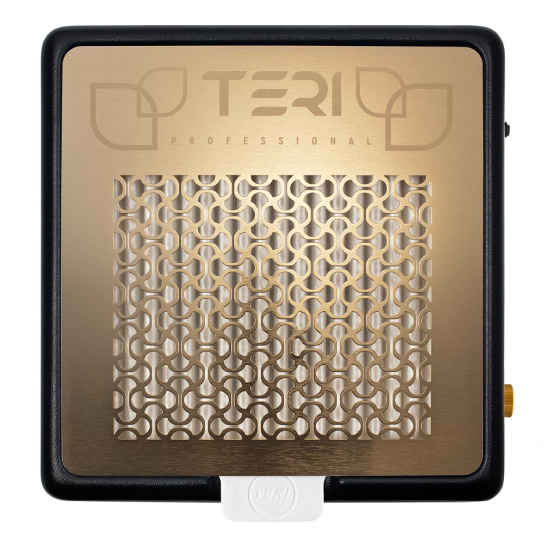 Пылесос для маникюра – Teri 800 M Black (Golden Mesh)