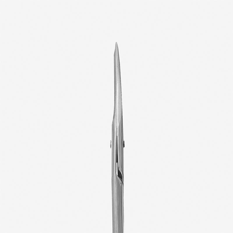 Straight multipurpose scissors Staleks CLASSIC 31 TYPE 1